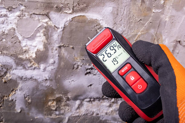 Best Crawl Space Mold Removal  in Quincy, MI
