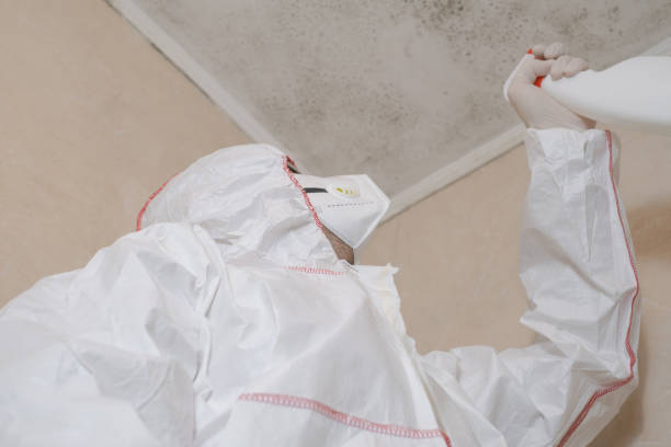 Best Mold Remediation  in Quincy, MI